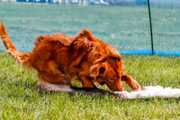 _E4I4144