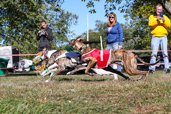 Prg 2, Race 1, Puppy, Reese JJ Revenant-9339