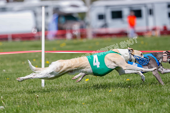 NOTRA Program 2, Race 9, Savvy Elia Chernobog Coyote-2-9