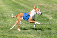Prelims Fch 1 Ginny Willow Madyson-5477