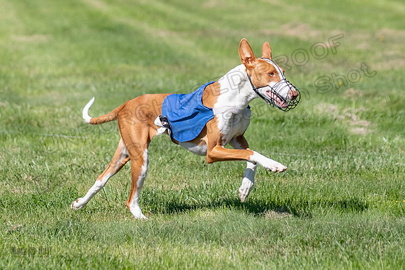 Prelims Fch 1 Ginny Willow Madyson-5477