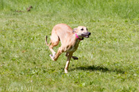 IMG_5055