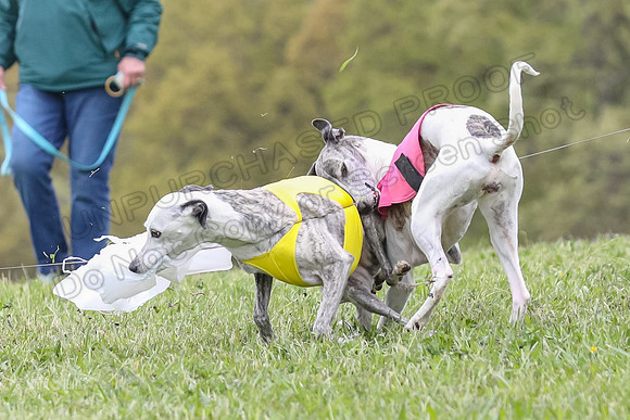 Finals Vets 2, Dora Nellie Akela-2309