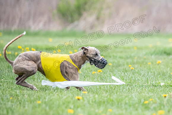 Finals Fch A4 Finely Carrie-9329