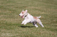 IMG_9907
