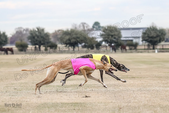 1Prelim Spec 1 Terra Bonnie-2598