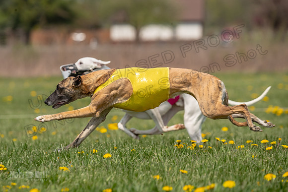 Finals Open F1 Mae Phantom Sonic-3769