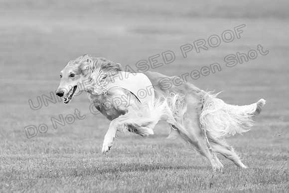 Open Prelim 2, Masquerade Freebie-0534-2