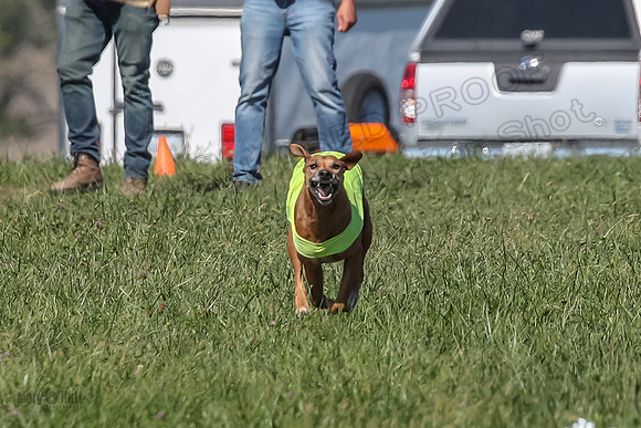 2 Finals Vet 1 Zayin Xena-8065