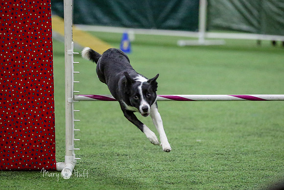 MCH50557