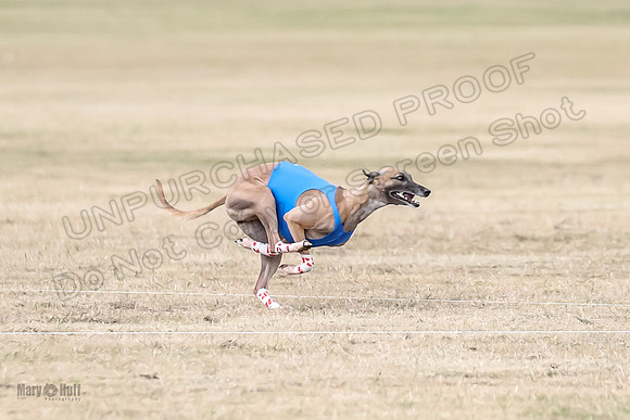 1Prelim Open 3 Eggsy Trixie Treble-3010
