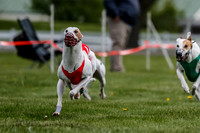 WRA, Prg 1, Race 2, Dash, Reas Mika Buzzsaw Moonstruck Elvis-8263
