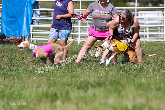 Open Prelim A2, Madyson, Razz-7611