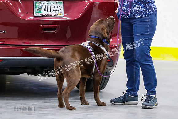 L3 Vehicle-7163