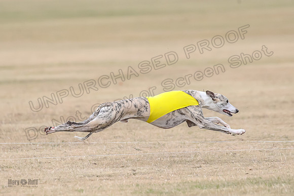 1Prelim Open 3 Eggsy Trixie Treble-3064