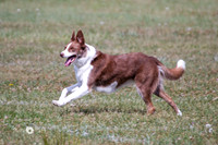 IMG_8539