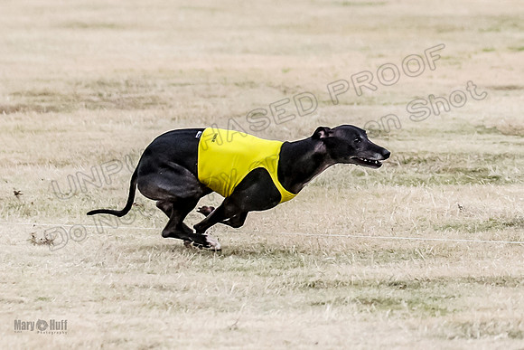 1Prelim Open 2 Shine Maverick Steel-2969