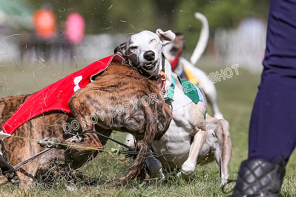 Prg 4, Race 1, Ruffian Flynn Nami Rigby Arrow Echo-0063