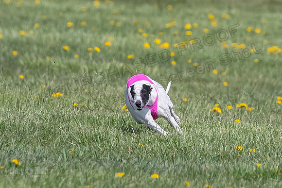 1Prelims Specials B6 Mantle PeteySue Echo-1571