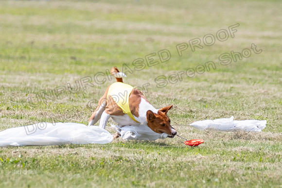 Finals-0148