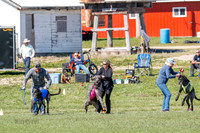Prelim-2354