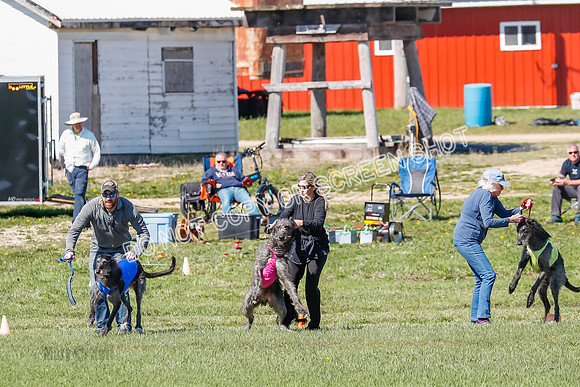 Prelim-2354