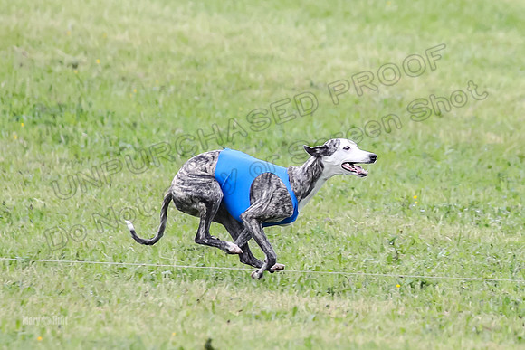 Prelim Open F2, Trippit Sid Fva-9282
