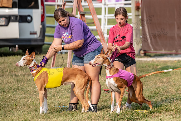 1prelims Vet 1prelim Izzy Dawn-3705