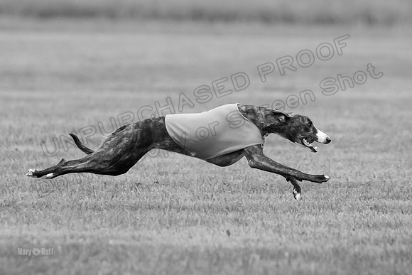 Prelims Lena-0757-2