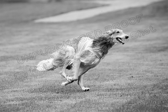 Open Prelim 2, Masquerade Freebie-0556-2