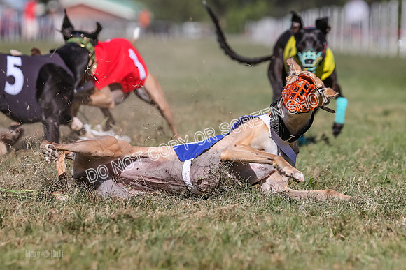 Prg 4, Race 5, Rasta Cammie Warrior Grim Buckwheat-0225