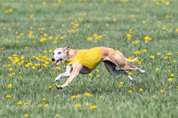 1Prelims Veterans 1 Rosa Marley Luna-1613