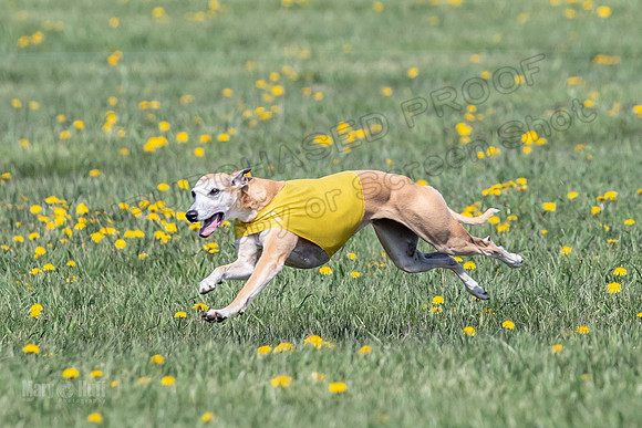 1Prelims Veterans 1 Rosa Marley Luna-1613
