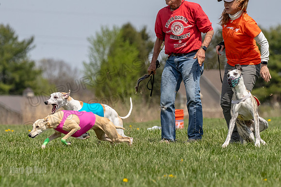 Finals Open F4 Easy Fenn Ace-3943