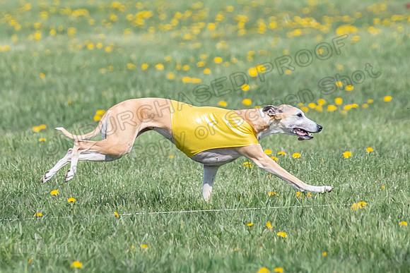 1Prelims Veterans 1 Rosa Marley Luna-1627