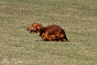 IMG_1841