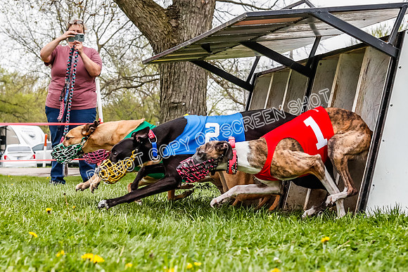 WRA, Prg 3, Race 6, Warrior Beacon Picanha Smudge Entei-9187