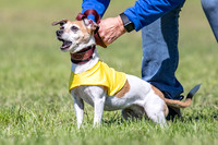Rocki Girl-6478