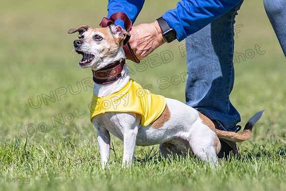 Rocki Girl-6478