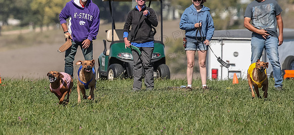 2 Finals Open 1 Rein Pepper Ash-7373