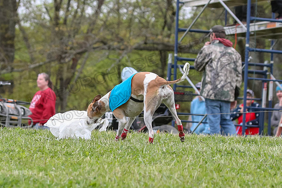 Finals Vets 4, Parker Marley Brag-2430