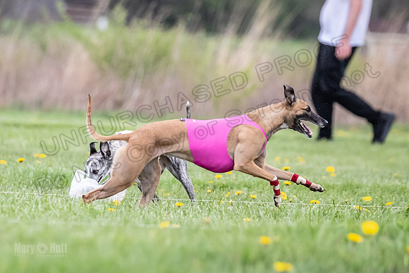 Finals Fch A1 Whisper Treble JesseJames-9102