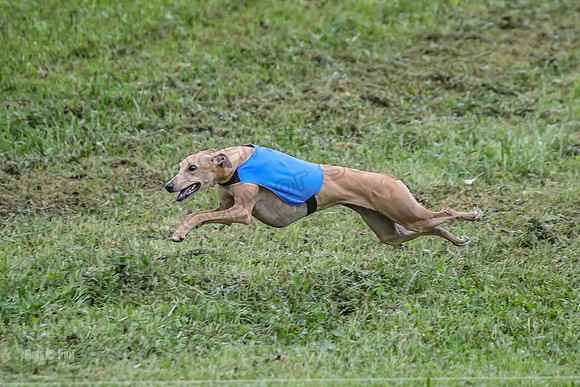 Prelim Open E3, Panda Kracken Indy-4972