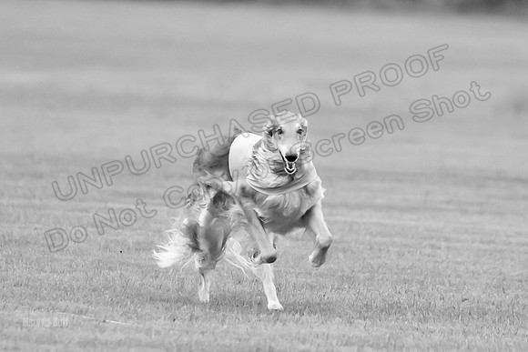 Open Prelim 2, Masquerade Freebie-0516-2