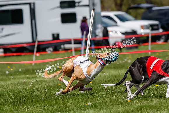 NOTRA Program 3, Race 4, Maybe Power Flora Clyps-2-2