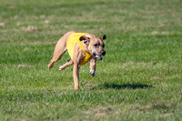Prelims Fch 1 Islay Opal-5183