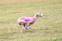 1 Prelims Open 1 AnnieOakley Fennec Zero-1228