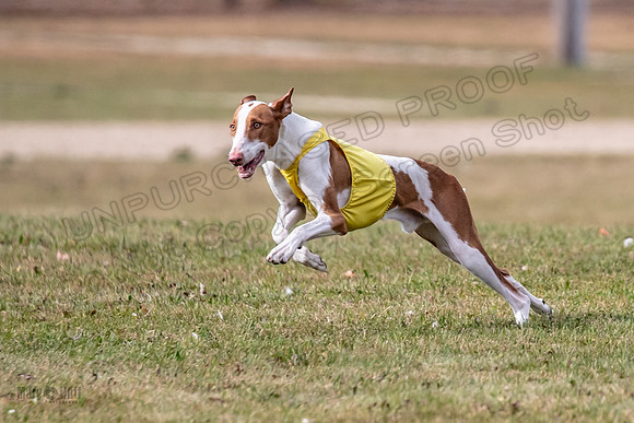 Finals Open 1 Jagger Maverick-3018