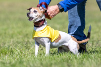 Rocki Girl-6477
