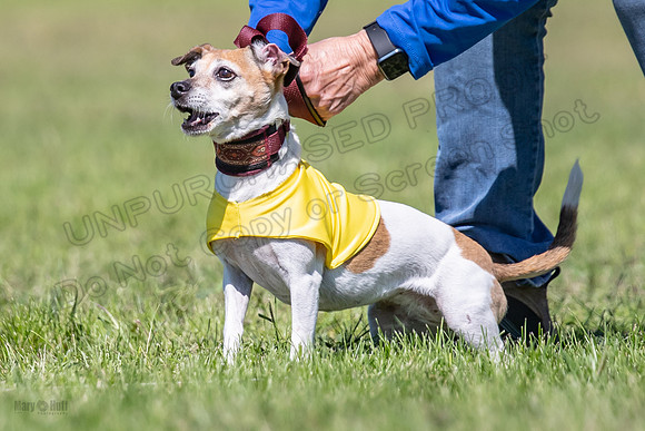 Rocki Girl-6477